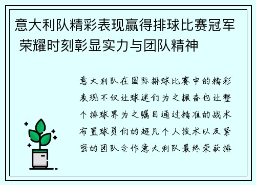 意大利队精彩表现赢得排球比赛冠军 荣耀时刻彰显实力与团队精神