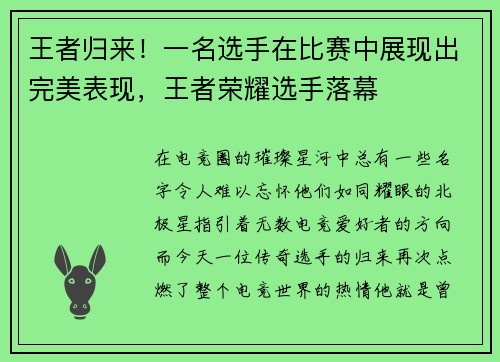 王者归来！一名选手在比赛中展现出完美表现，王者荣耀选手落幕