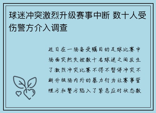 球迷冲突激烈升级赛事中断 数十人受伤警方介入调查